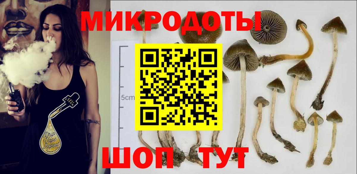 Псилоцибиновые грибы Psilocybine cubensis Асбест