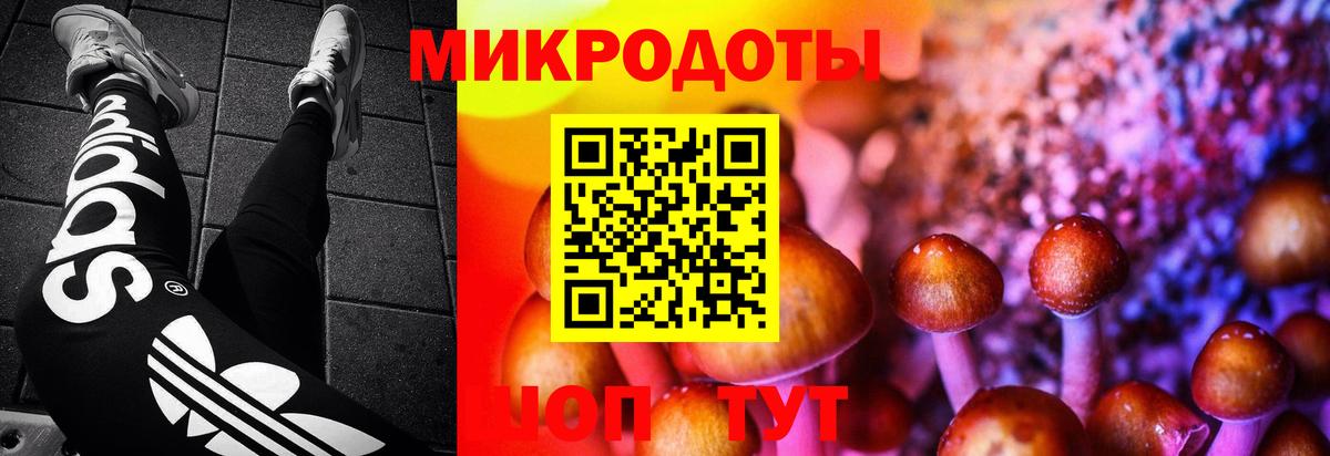 Асбест  Галлюциногенные грибы Magic Shrooms  Вход с VPN  Псилоцибиновые грибы GOLDEN TEACHER 